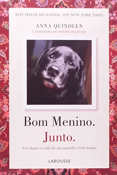 Livro Bom Menino, Junto! - Resumo, Resenha, PDF, etc.