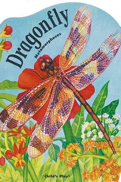 Livro Dragonfly - Resumo, Resenha, PDF, etc.