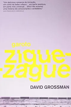 Livro Garoto Zigue-Zague - Resumo, Resenha, PDF, etc.
