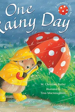 Livro One Rainy Day - Resumo, Resenha, PDF, etc.