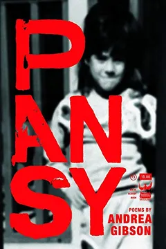 Livro Pansy - Resumo, Resenha, PDF, etc.