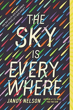 Livro The Sky Is Everywhere - Resumo, Resenha, PDF, etc.