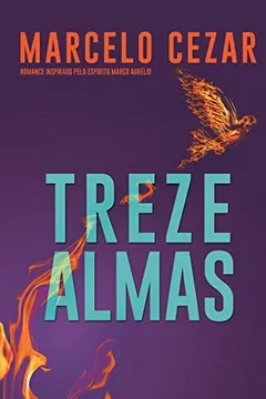 Livro Treze Almas - Resumo, Resenha, PDF, etc.