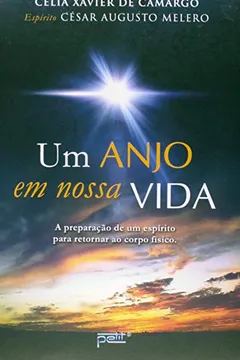Livro Um Anjo Em Nossa Vida - Resumo, Resenha, PDF, etc.