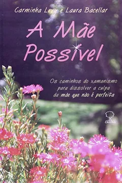 Livro A Mãe Possível - Resumo, Resenha, PDF, etc.