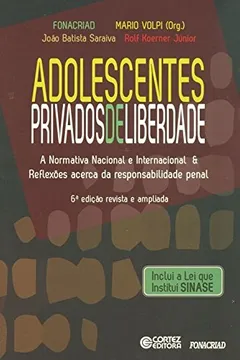 Livro Adolescentes Privados de Liberdade. A Normativa Nacional e Internacional & Reflexões Acerca da Responsabilidade Penal - Resumo, Resenha, PDF, etc.