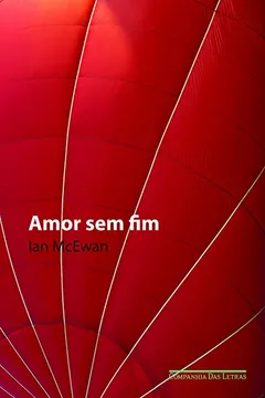 Livro Amor sem Fim - Resumo, Resenha, PDF, etc.