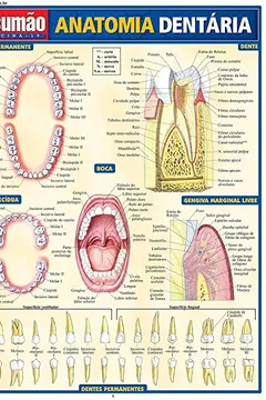 Capa do livro Anatomia Dentária