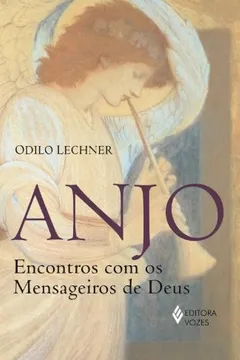 Livro Anjo. Encontro com os Mensageiros de Deus - Resumo, Resenha, PDF, etc.