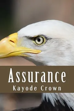 Livro Assurance - Resumo, Resenha, PDF, etc.
