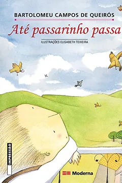 Livro Até Passarinho Passa - Resumo, Resenha, PDF, etc.