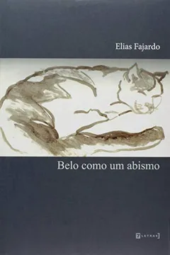 Livro Belo Como Um Abismo - Resumo, Resenha, PDF, etc.