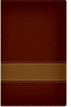 Livro Bíblia AEC Media Luxo Vinho e Cobre - Resumo, Resenha, PDF, etc.