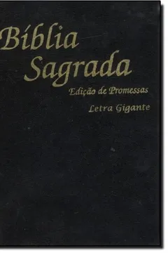 Livro Bíblia De Prome. Letra Grande - Resumo, Resenha, PDF, etc.