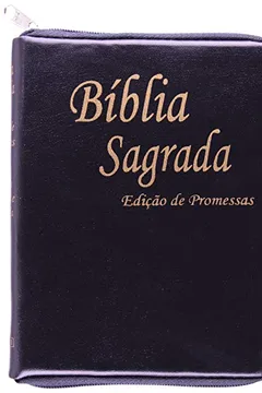 Livro Bíblia De Promessas - Resumo, Resenha, PDF, etc.