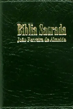 Livro Bíblia Sagrada Mini - Resumo, Resenha, PDF, etc.