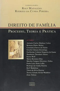 Livro Direito De Família. Processo, Teoria E Prática - Resumo, Resenha, PDF, etc.