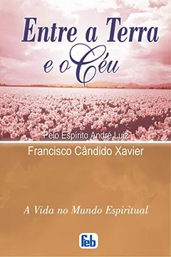 Livro Entre A Terra E O Ceu - Resumo, Resenha, PDF, etc.