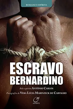 Livro Escravo Bernardino - Resumo, Resenha, PDF, etc.
