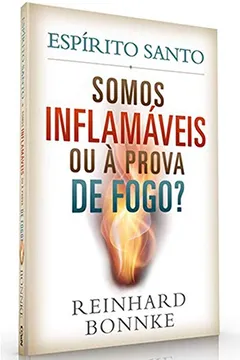 Livro Espírito Santo - Somos Inflamáveis ou à Prova de Fogo - Resumo, Resenha, PDF, etc.