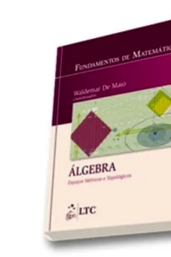 Livro Fundamentos De Matemática. Álgebra. Espaços Métricos E Topológicos - Resumo, Resenha, PDF, etc.