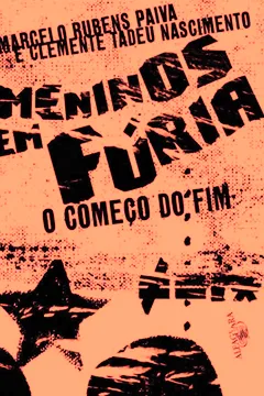 Livro Meninos em Fúria - Resumo, Resenha, PDF, etc.