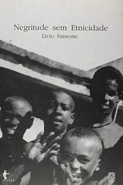Livro Negritude Sem Etnicidade - Resumo, Resenha, PDF, etc.