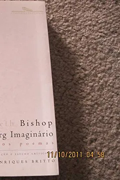 Livro O Iceberg Imaginário - Resumo, Resenha, PDF, etc.