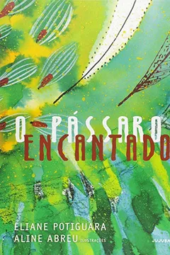 Livro O Pássaro Encantado - Resumo, Resenha, PDF, etc.