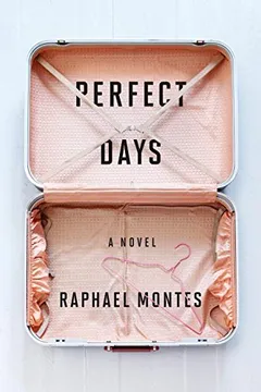 Livro Perfect Days - Resumo, Resenha, PDF, etc.