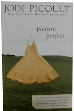 Livro Picture Perfect - Resumo, Resenha, PDF, etc.