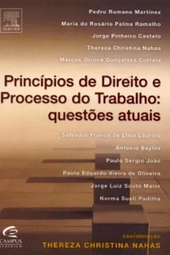 Livro Principios De Direito E Processo Do Trabalho. Questoes Atuais - Resumo, Resenha, PDF, etc.