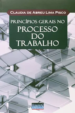 Livro Princípios Gerais no Processo do Trabalho - Resumo, Resenha, PDF, etc.