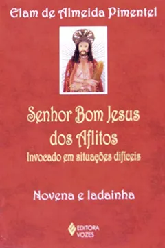 Livro Senhor Bom Jesus Dos Aflitos - Resumo, Resenha, PDF, etc.