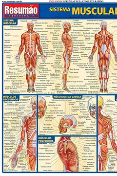 Capa do livro Sistema Muscular