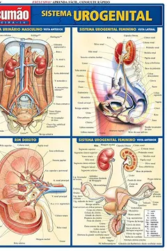Capa do livro Sistema Urogenital