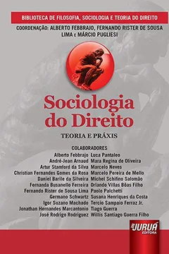 Livro Sociologia do Direito. Teoria e Práxis - Resumo, Resenha, PDF, etc.
