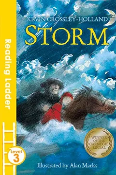 Livro Storm - Resumo, Resenha, PDF, etc.