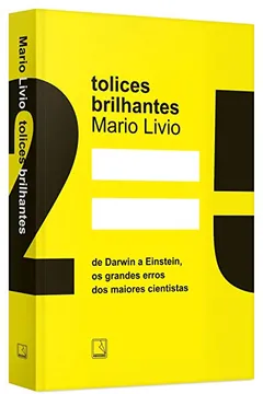 Livro Tolices Brilhantes - Resumo, Resenha, PDF, etc.
