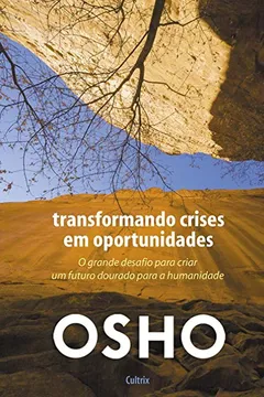 Livro Transformando Crises em Oportunidades - Resumo, Resenha, PDF, etc.