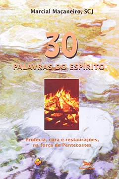 Livro Trinta Palavras Do Espírito. Profecia, Cura E Restauração Na Forca - Resumo, Resenha, PDF, etc.