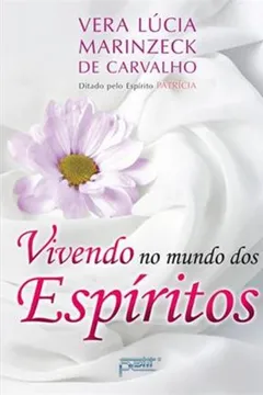 Livro Vivendo no Mundo dos Espíritos - Resumo, Resenha, PDF, etc.